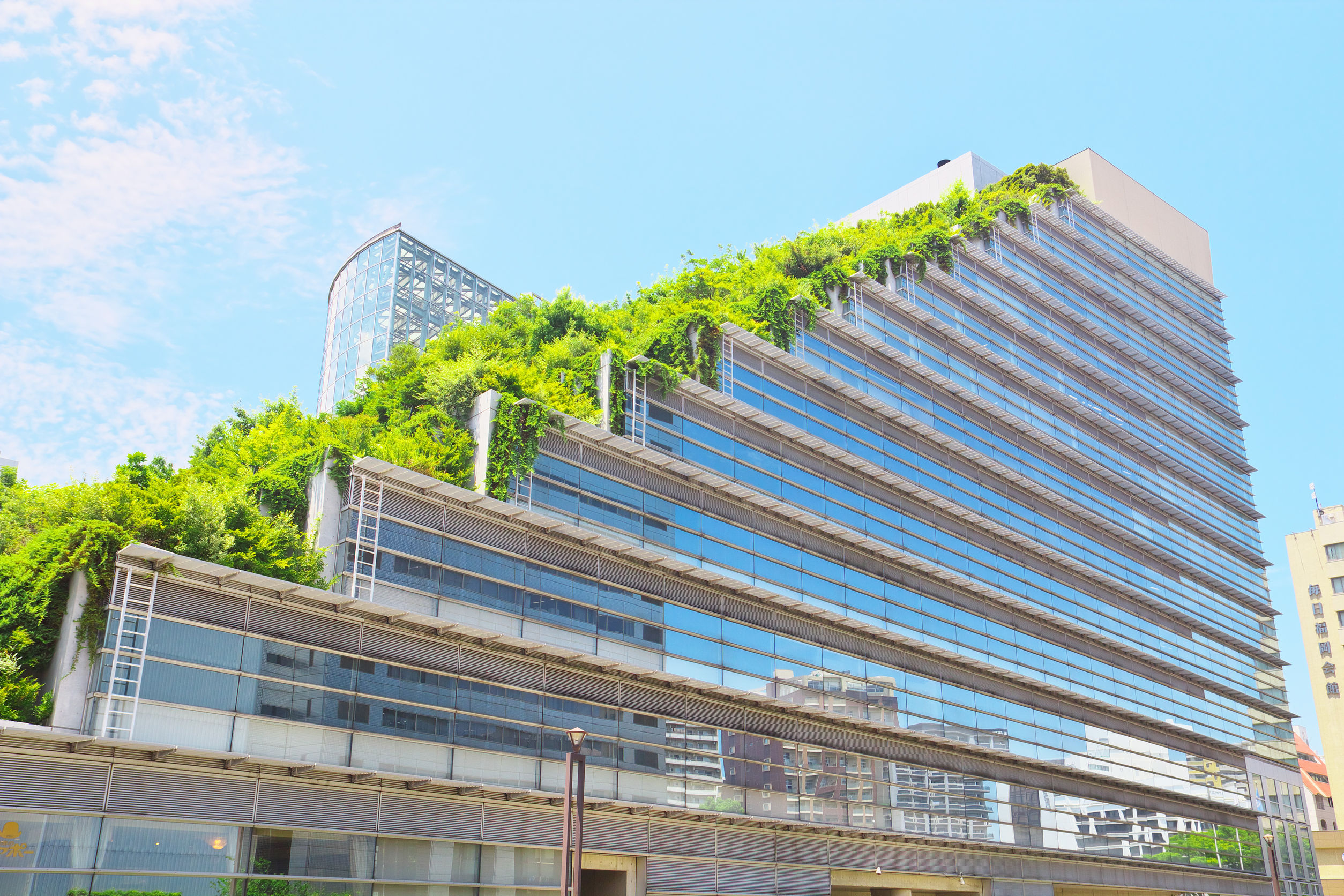 eco-building with green roof