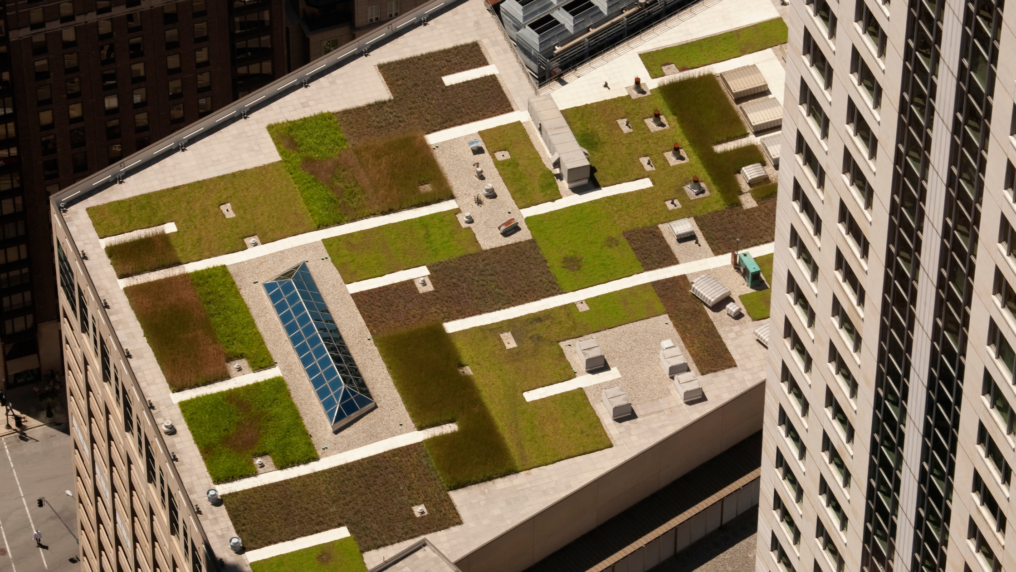 Green roofs on commercial building