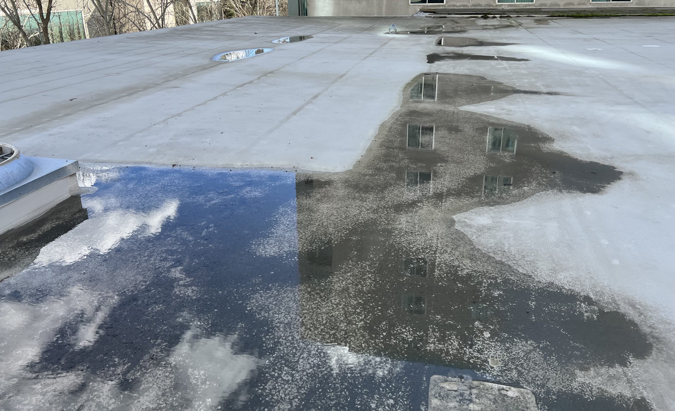 What Is Causing My Roof To Leak?