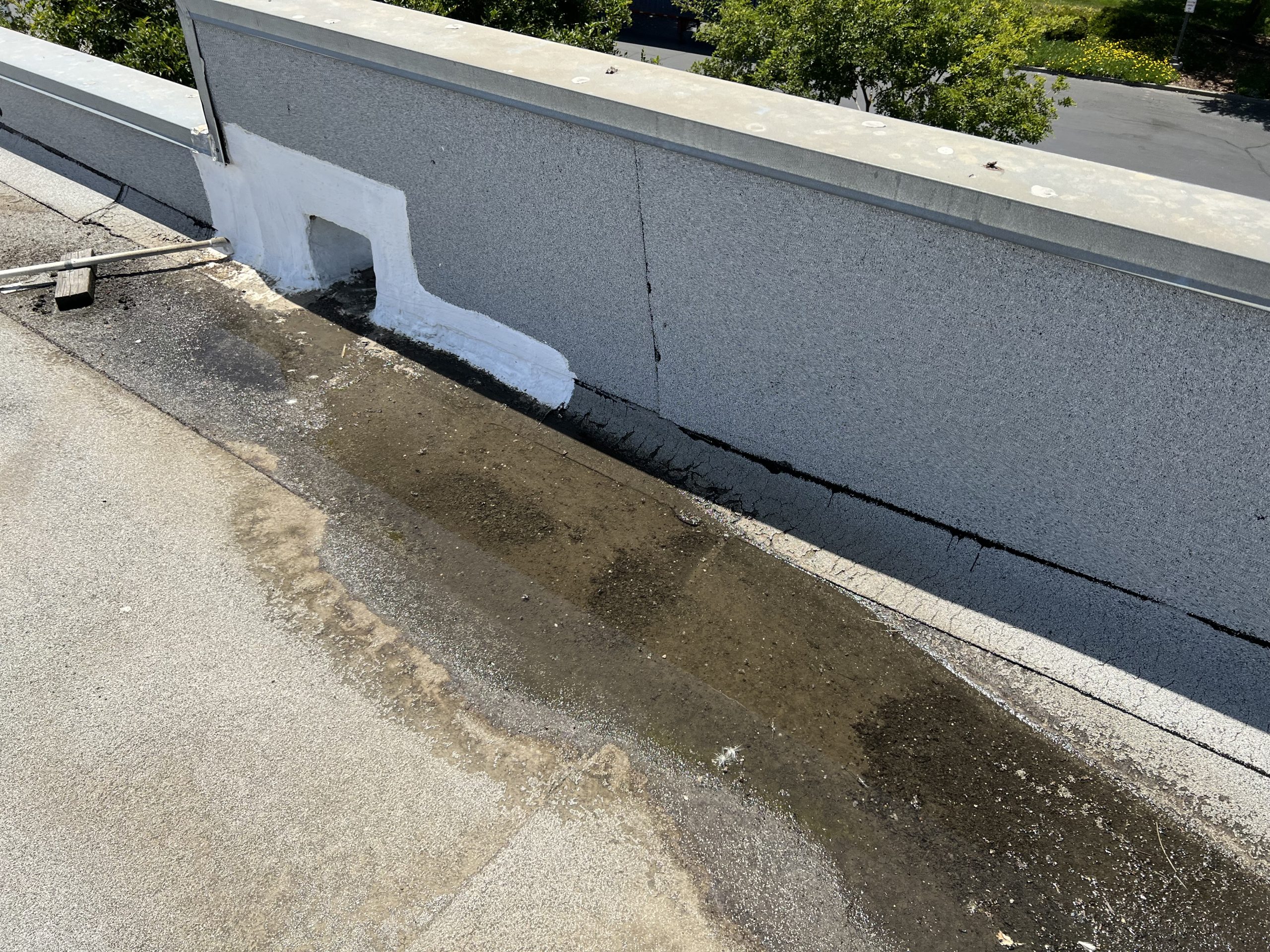 Common Causes of Roof Leaks in Commercial Buildings